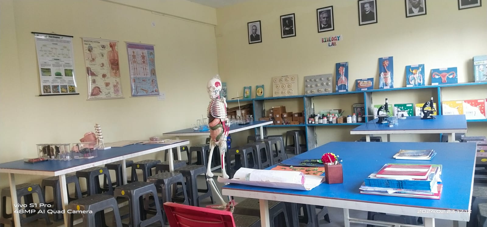 Biology Laboratory Skeleton & Specimen Bench